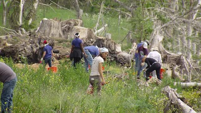 Blanco Restoration, Helicopter Heroes & a Mentored Hunt