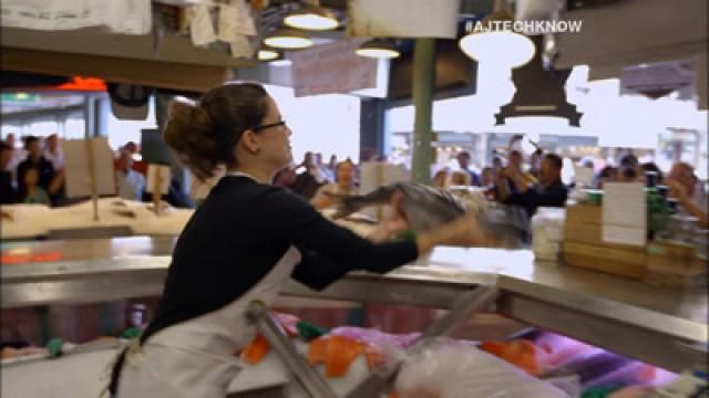 Salmon/Vertical Farms/Mars Rover