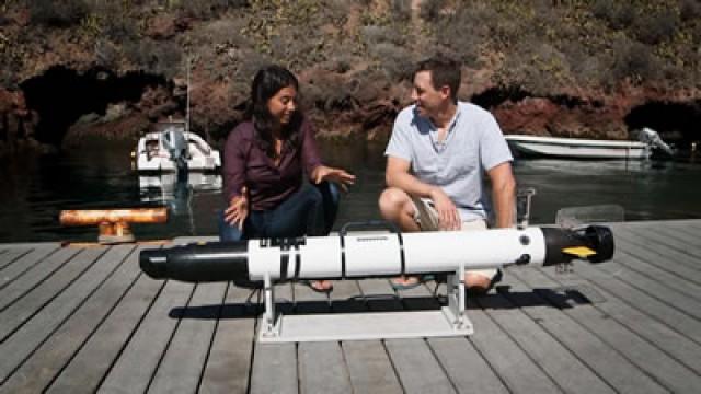 Shark Robot/Driverless Cars/Predictive Policing