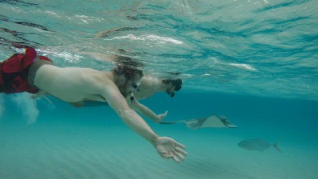 Top 10 Underwater Creatures
