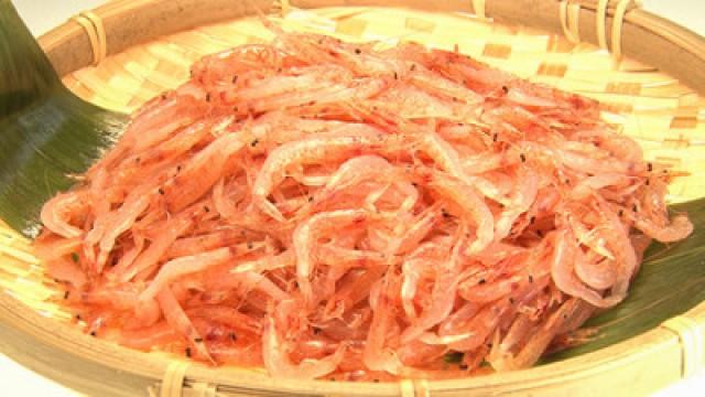 Sakura Ebi