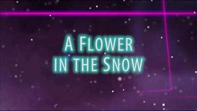 Eine Blume im Schnee