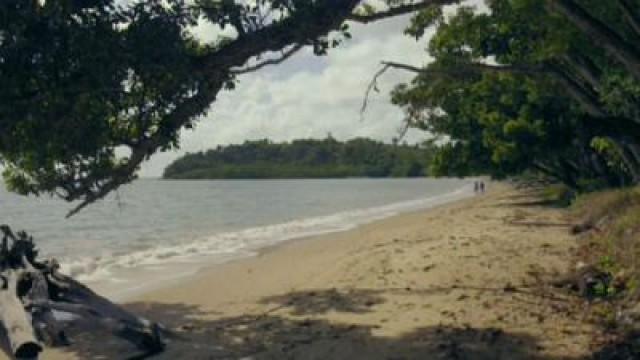 Wet Tropics