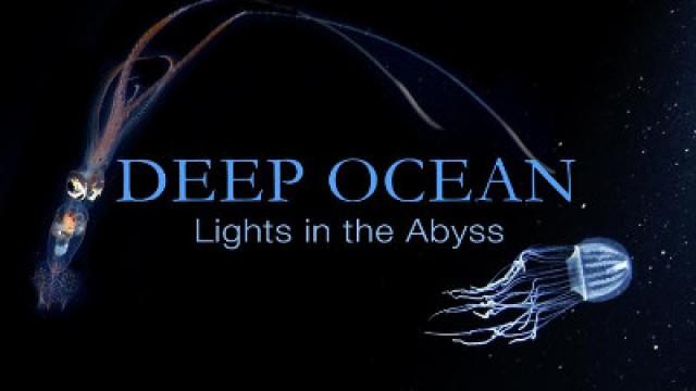 Lights in the Abyss