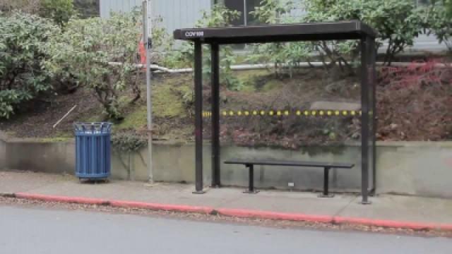 The Bus Stop