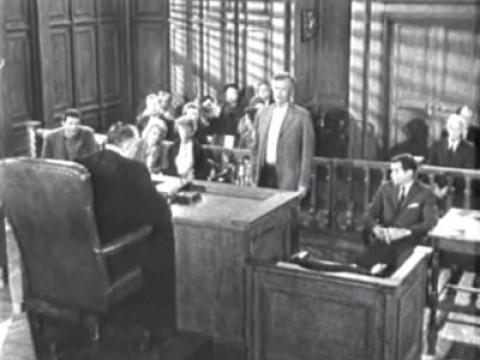 The Clampetts in Court