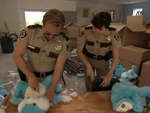 Drug Bust and Rabbit Dissection