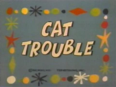 Cat Trouble