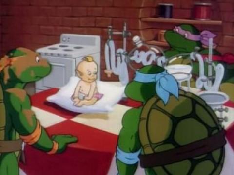Cuatro tortugas y un bebé