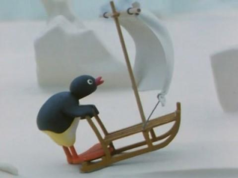 Pingu Surfing on the Ice