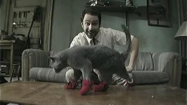 Paddy's Pub : L'inventeur des chaussettes pour chats