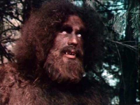 The Secret of Bigfoot (1)