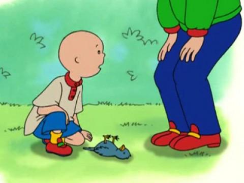 Caillou's Getting Older!