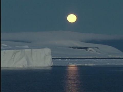 Antarctica: A Frozen History