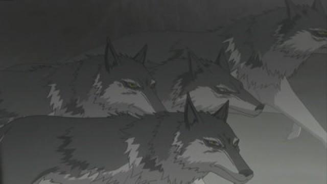 Wolf and a Group of Youngsters