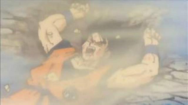 Goku contro Goku