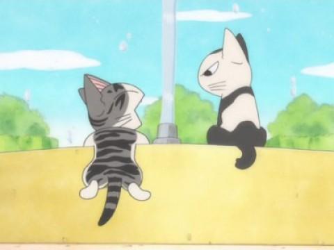 Chii and Kocchi Meet (OVA)