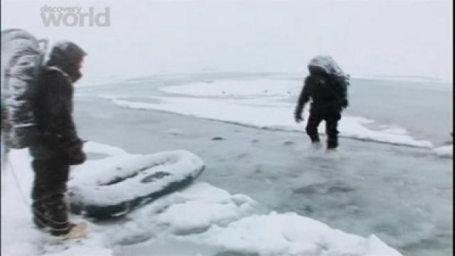 Alaska Bites Back