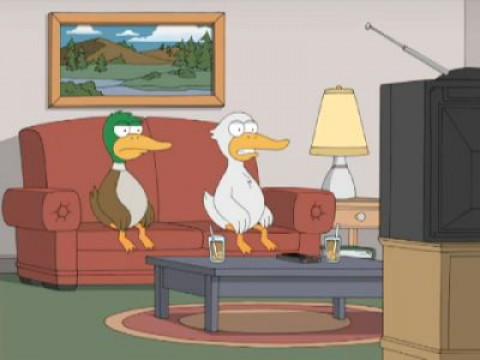 Two Ducks Watch 'Meet The Parents'