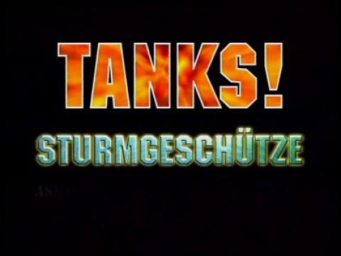 Sturmgeschuetze and Panzerjaeger