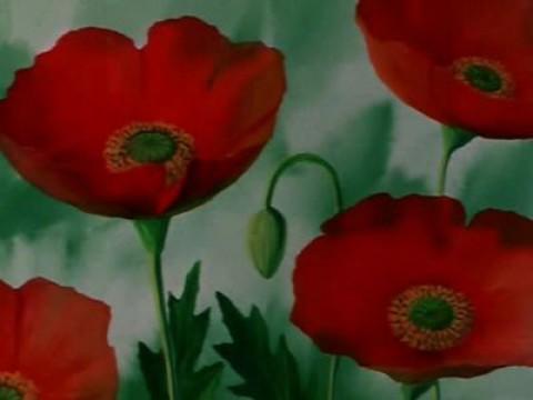 El jardín de la vid de la abuela