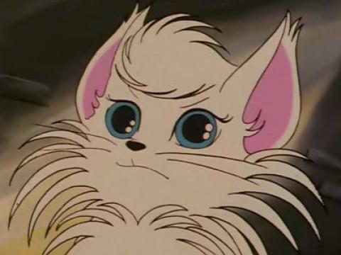 La amistad de un torero