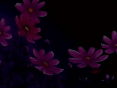 La milagrosa llave floral