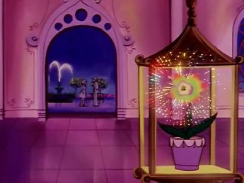 La felicidad llena de flores