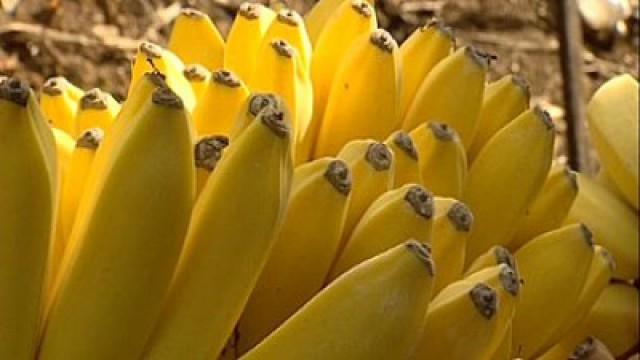 Bananas + Artichokes