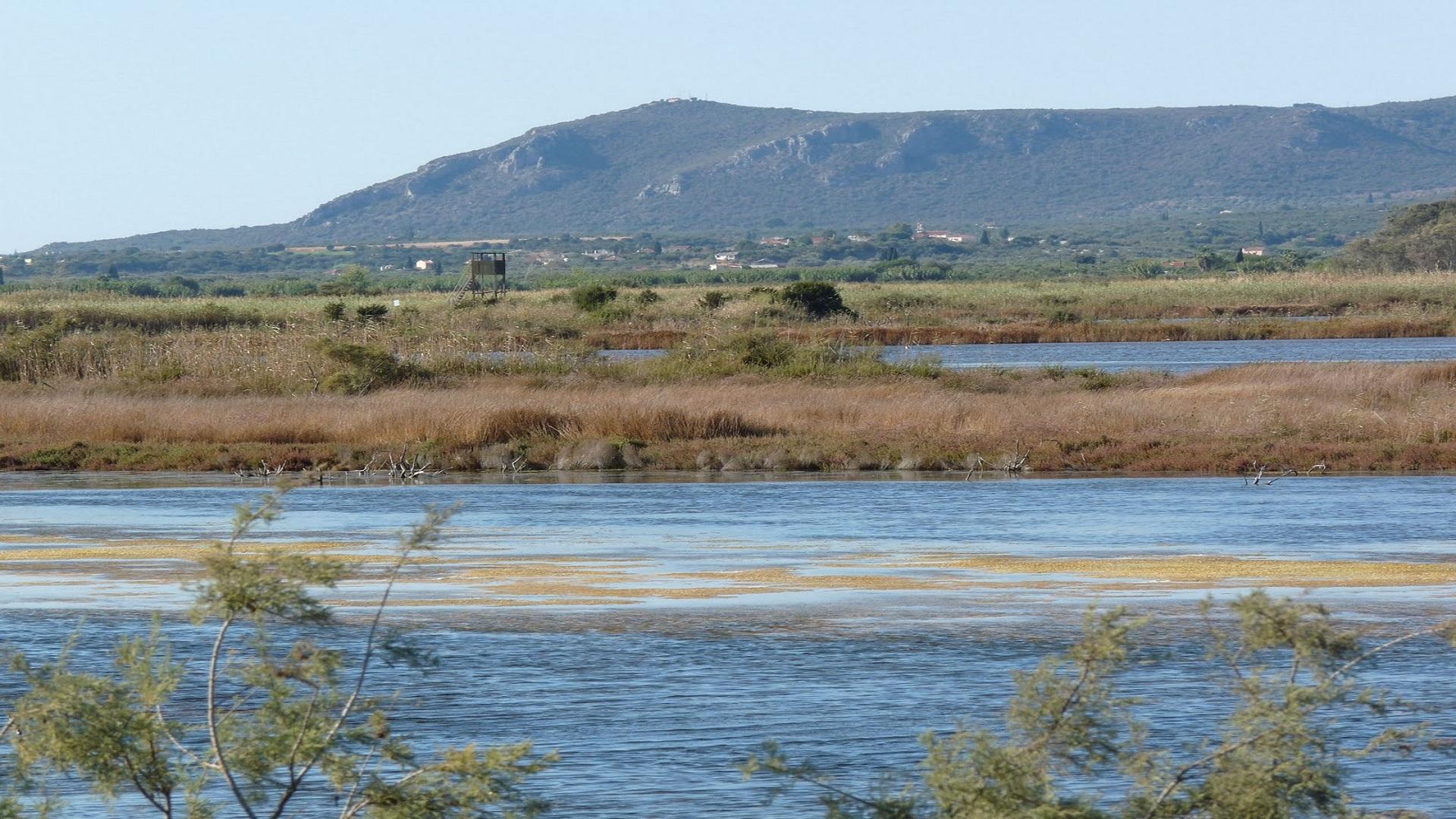 Aristotle's Lagoon