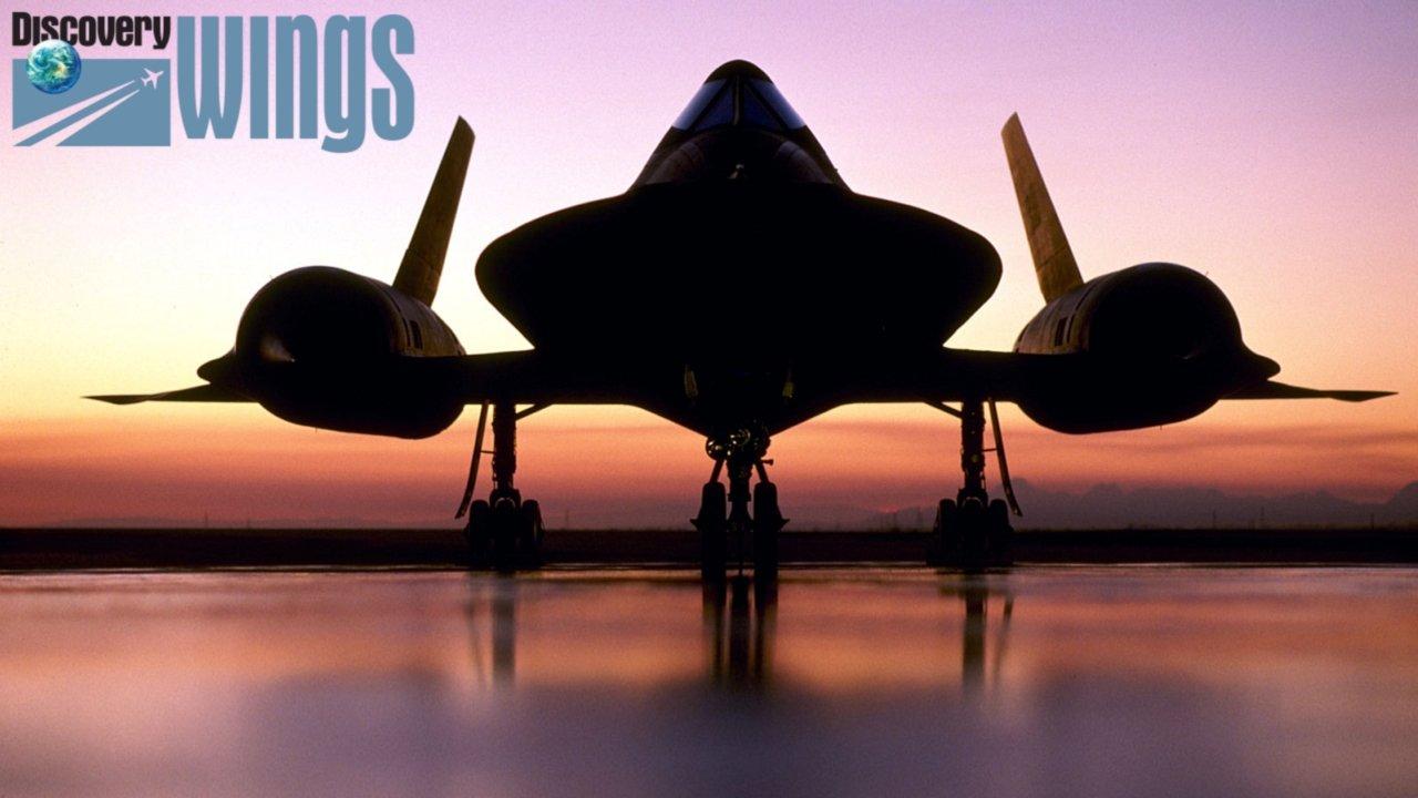 Wings (1995)