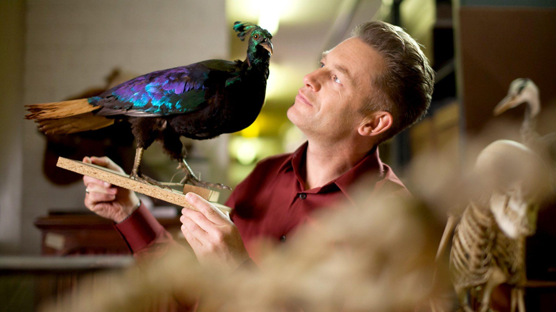 Nature's Weirdest Events