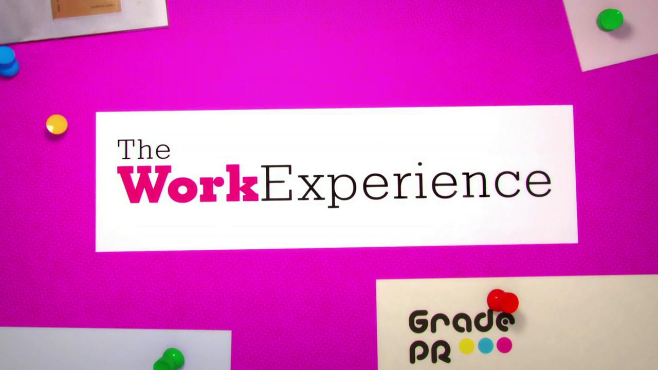 The Work Experience