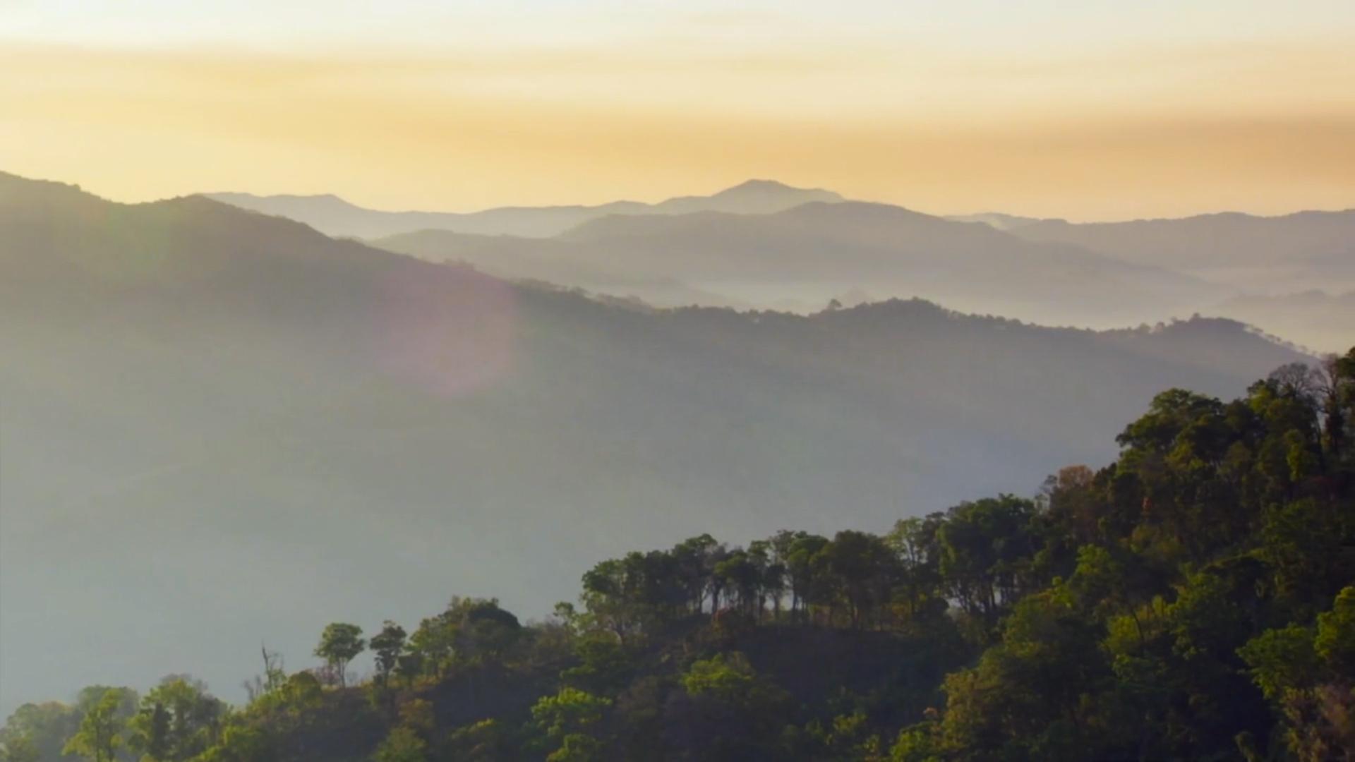 Wild Burma: Nature's Lost Kingdom