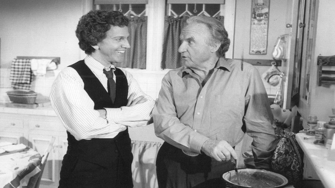 Die Fälle des Harry Fox