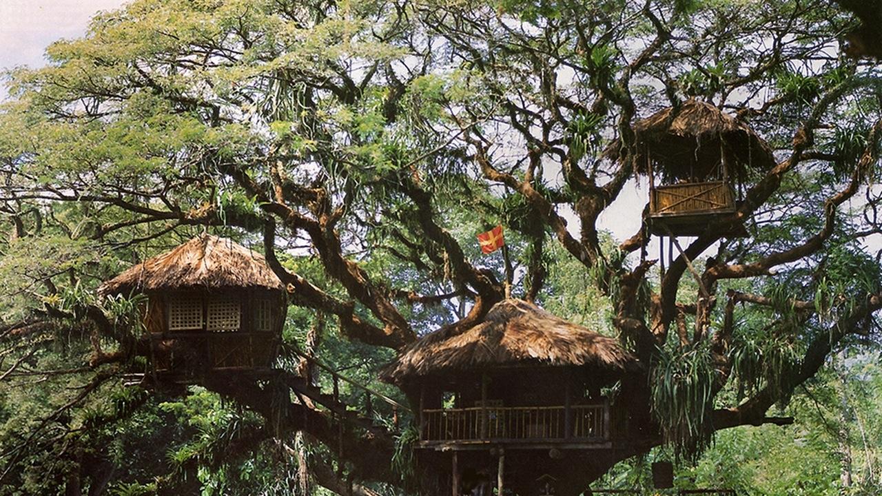 Swiss Family Robinson (1975)