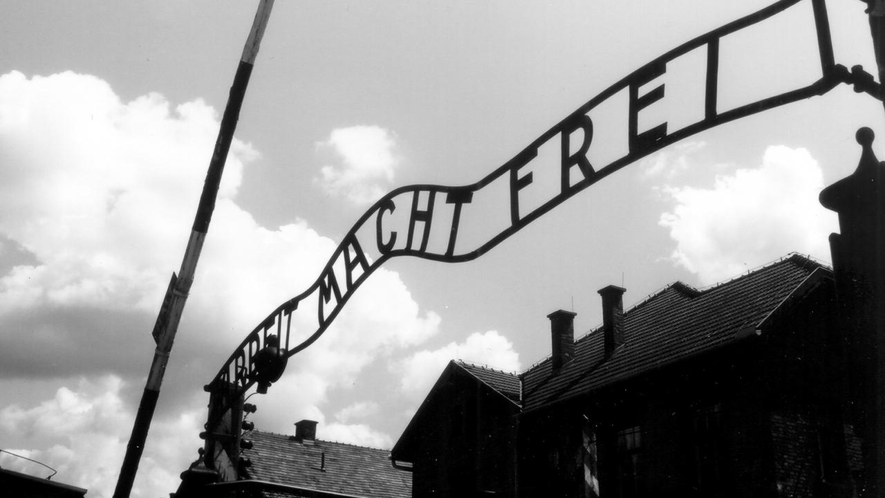 Auschwitz: Los Nazis y La Solución Final