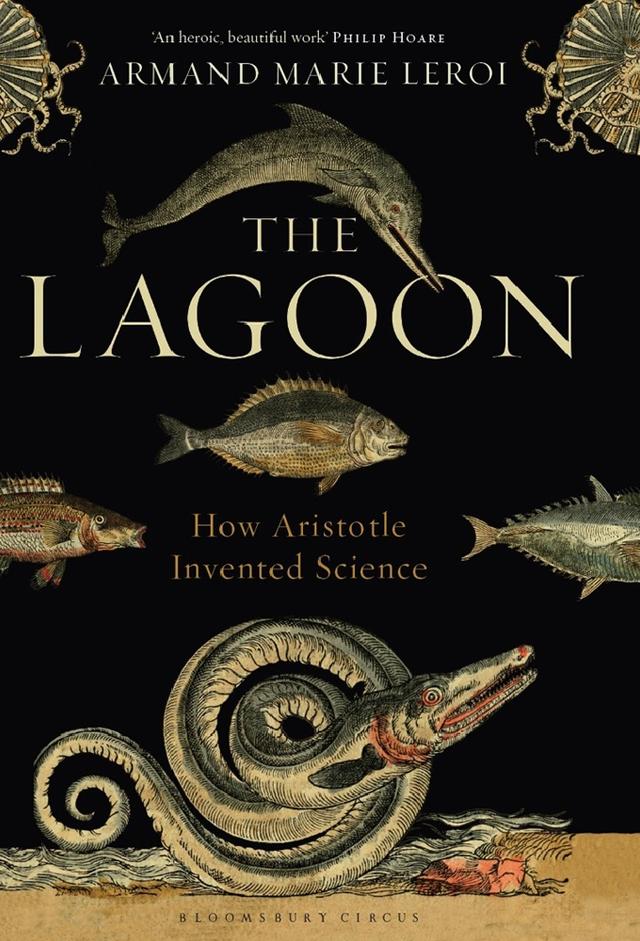 Aristotle's Lagoon