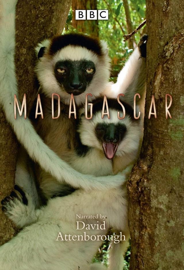 Madagascar, le monde perdu