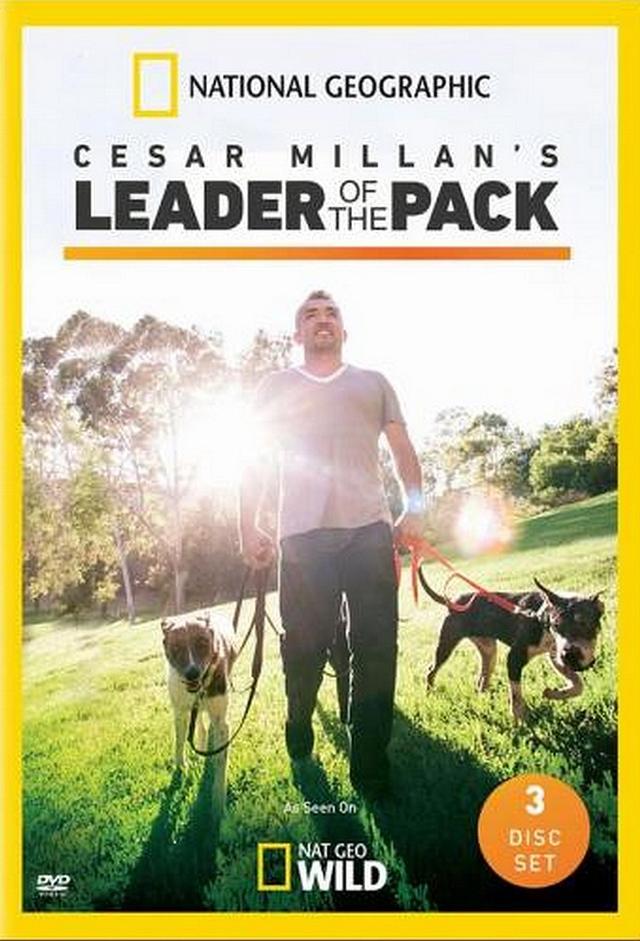 Cesar Millan's Leader of the Pack