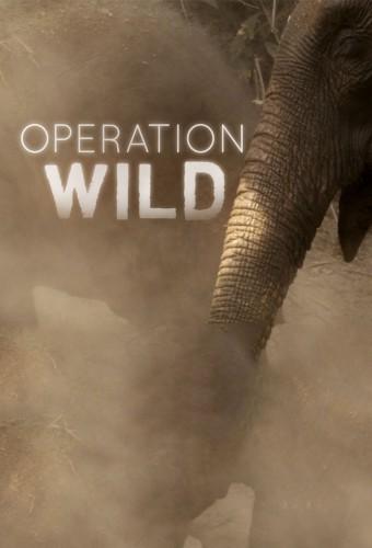 Operation Wild (UK)