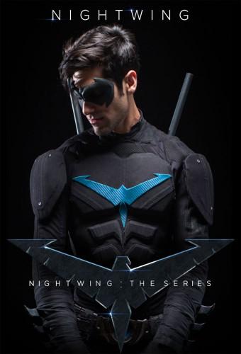 Nightwing: La serie