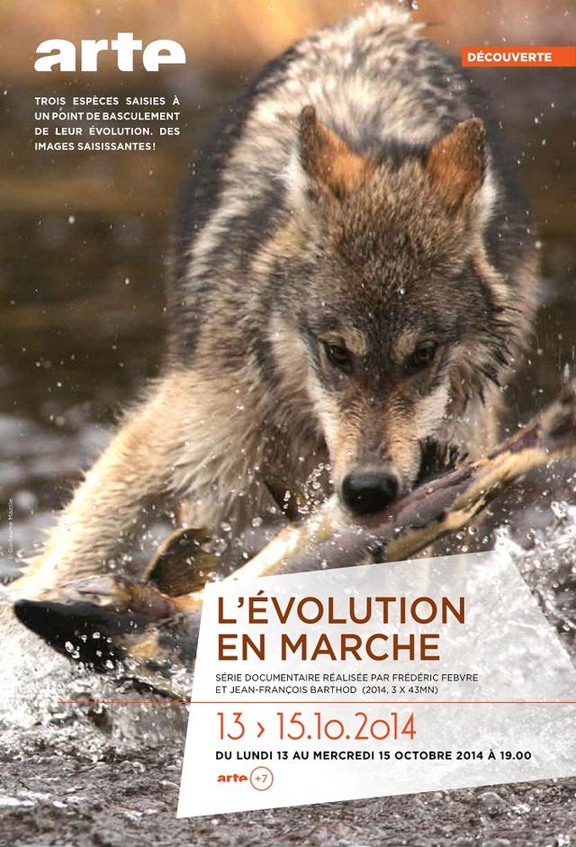 Evolution in progress