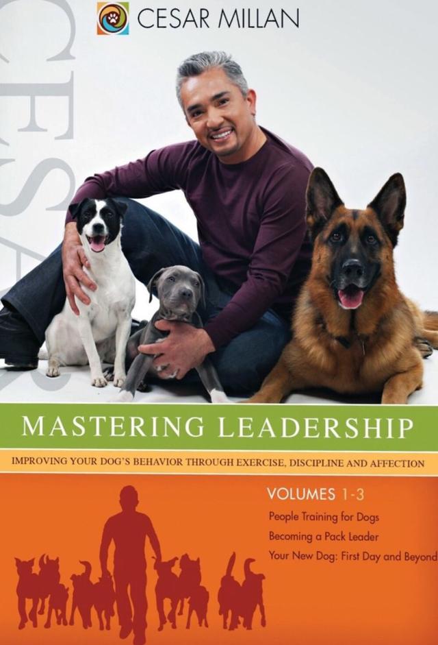 Cesar Millan Mastering Leadership Series
