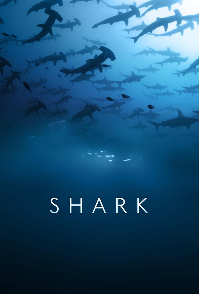 Shark (2015)