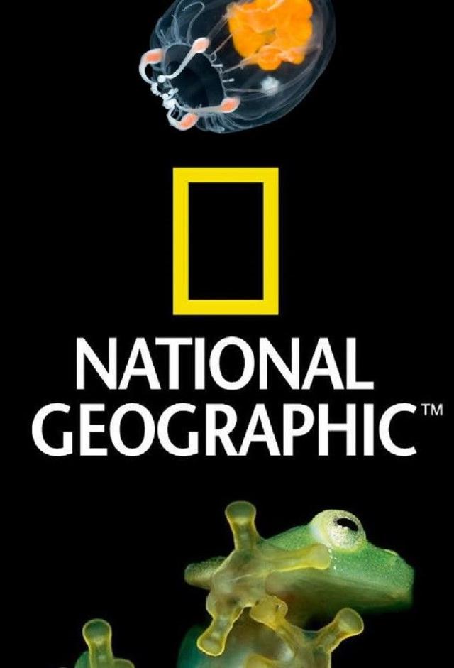 National Geographic - 100 Years