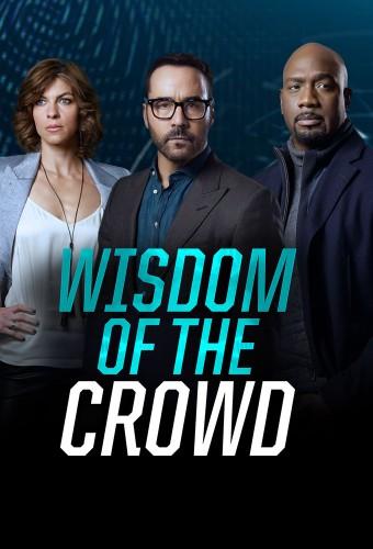 Wisdom of the Crowd - Nella rete del crimine
