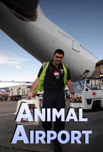Animal Airport (2019)