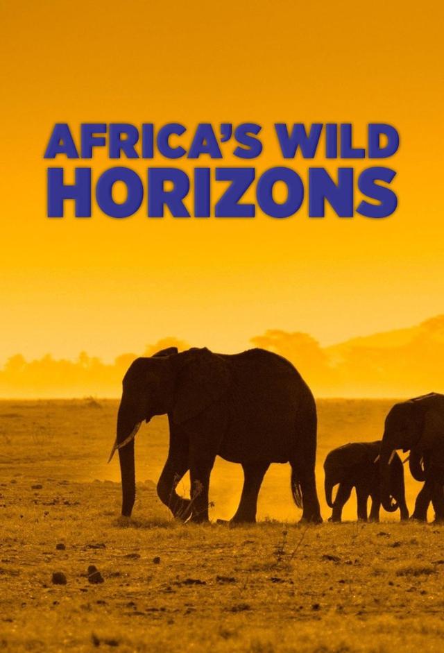 Africa's Wild Horizons