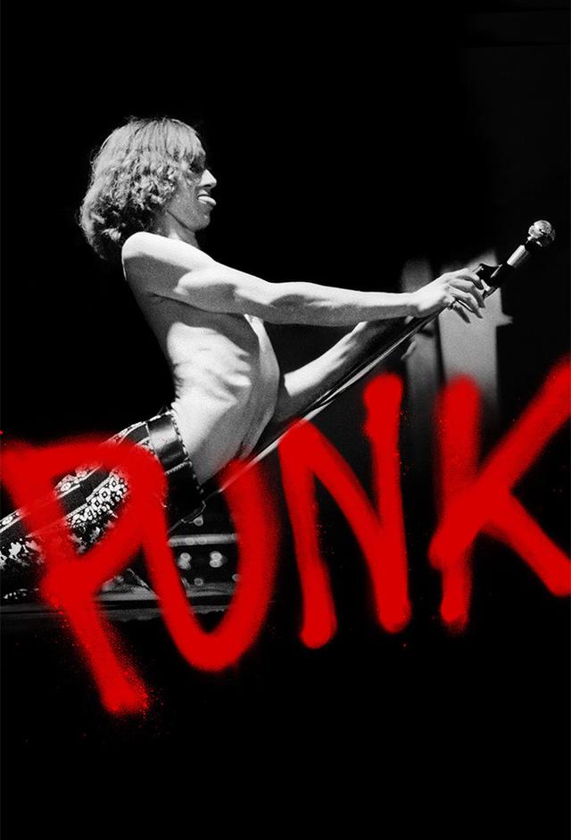 The True Story of Punk